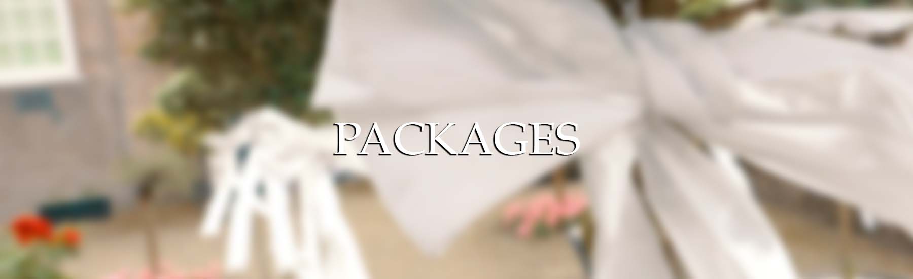 Bitmotion Wedding Packages